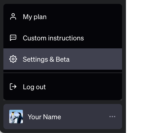 ChatGPT Settings Menu